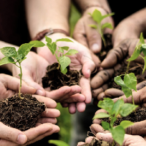 future wave global trust