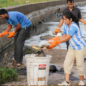 future wave global trust