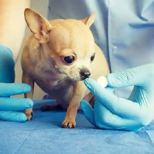 future wave global trust