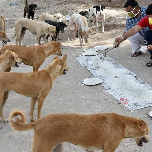 future wave global trust